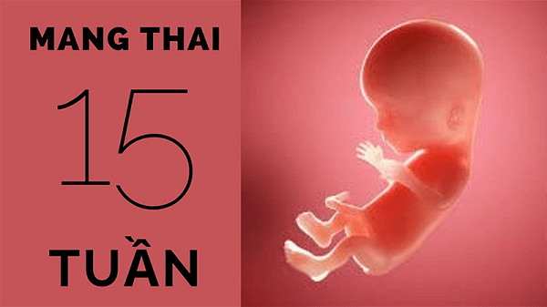 Phá thai 15 tuần – Làm thế nào để đình chỉ thai an toàn?